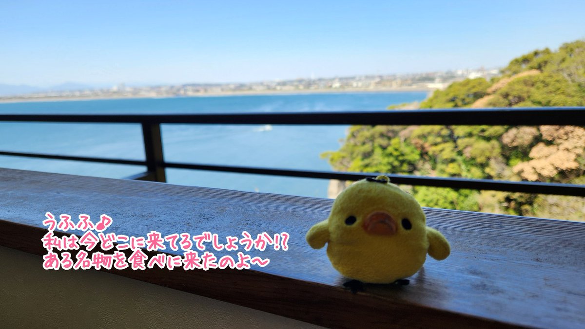 rirakuma_san_'s tweet photo. 『外回りチームのランチ研究会』

たまみ『今回は北区を飛び出してみたわよ！(,,ÒωÓ,, )』 https://t.co/nsk4yyokT7