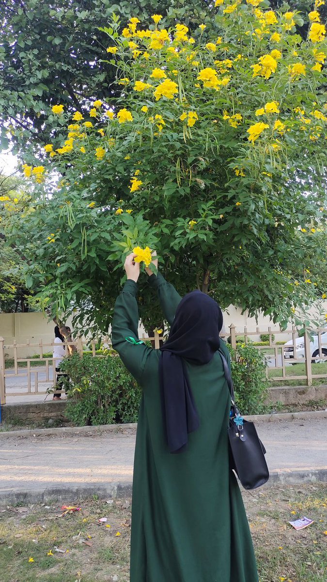 🦋الهنائيـّـة🦋💙 tweet media