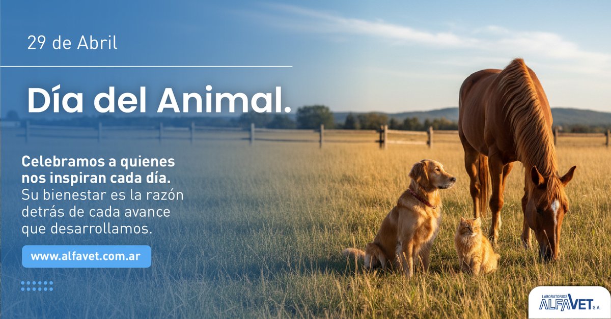 LAlfavet's tweet photo. Día del animal. 🐾💙

Hoy 29 de abril. Celebramos a quienes nos inspiran cada día: Los animales.

Su salud y bienestar son las razones detrás de cada avance que desarrollamos en Laboratorios AlfaVet.

#DiaDelAnimal #Animales #DiaDeLosAnimales #Inspiracion #animalsday https://t.co/OgkiB2gyym