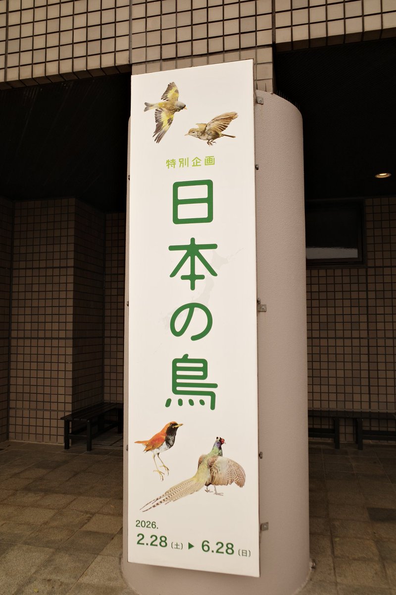 potekol's tweet photo. よく訪ねるところ、初めての景色、それぞれの気づきがありますね。 https://t.co/6Xq5MF51KW