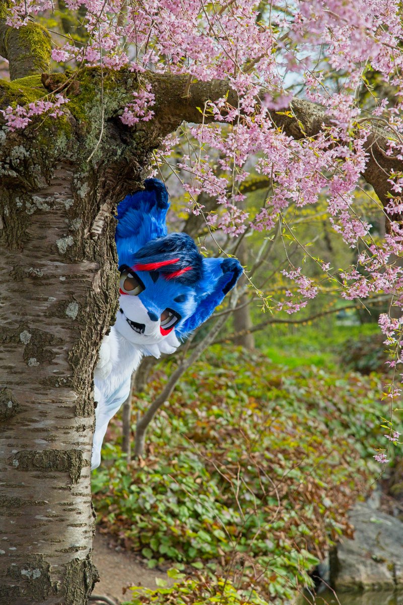 DeltaWolf tweet media