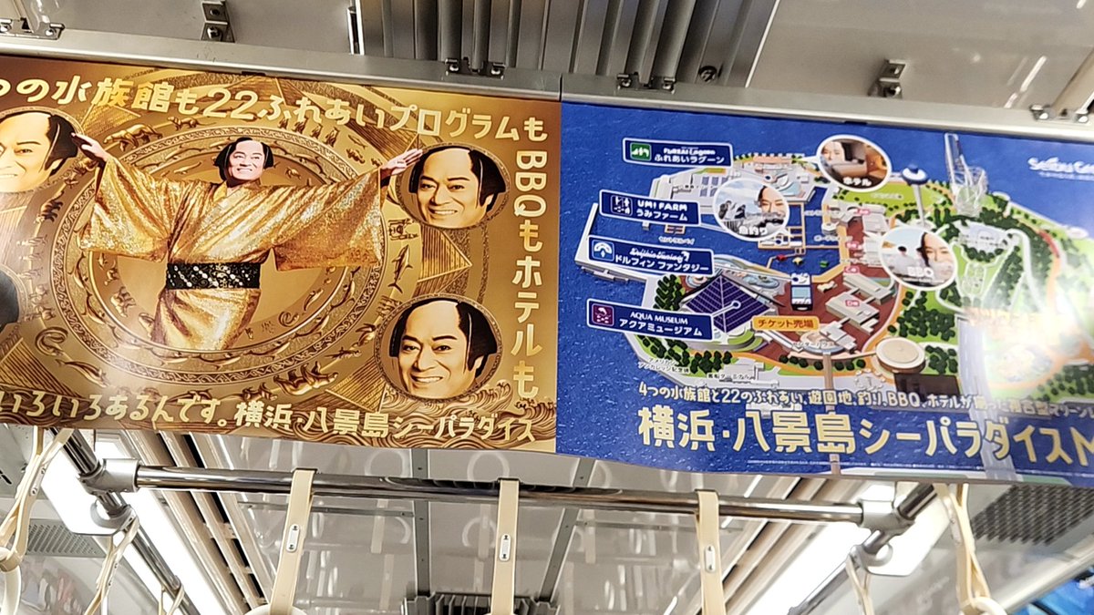メイビー tweet media
