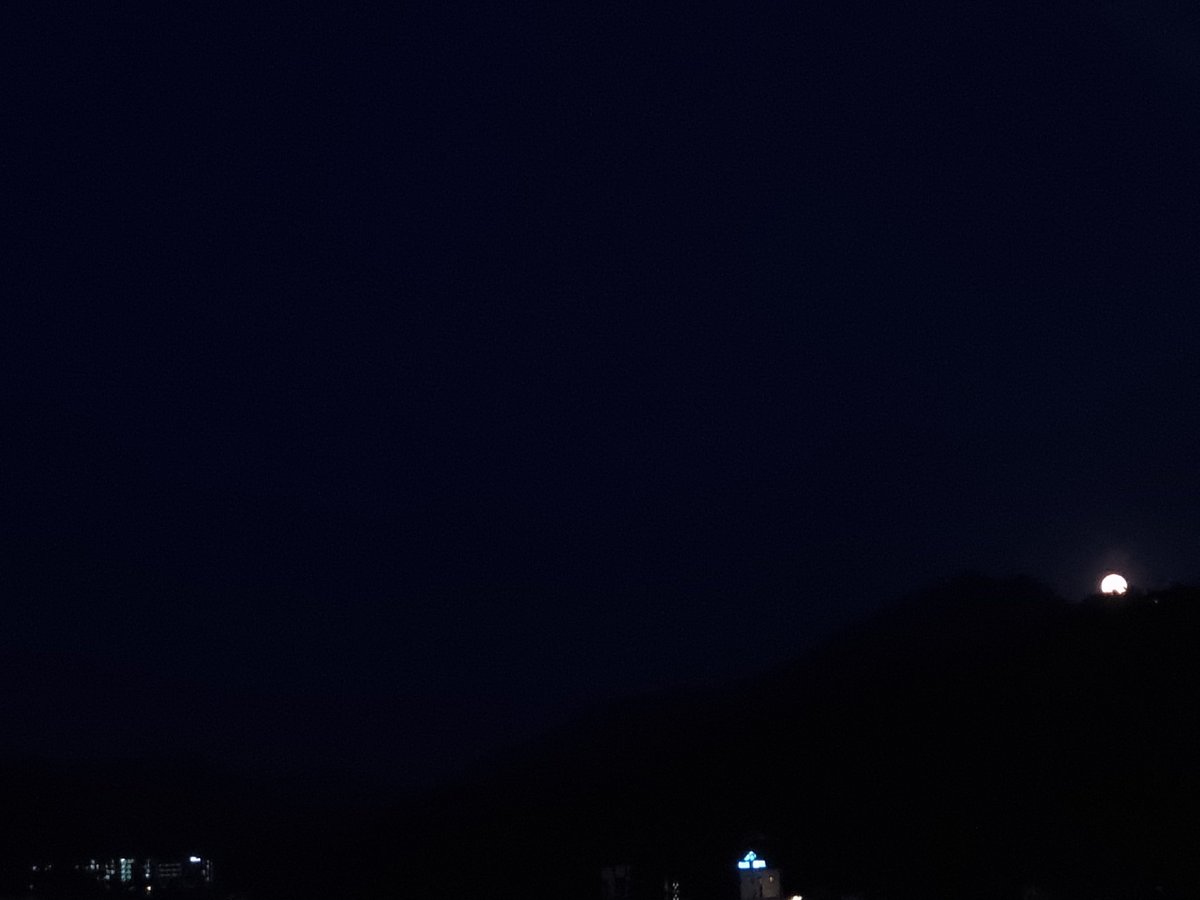 새벽보라 tweet media