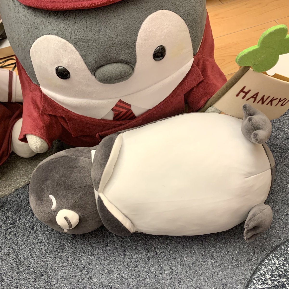 roki (੭ ᐕ)੭🐧🚃 tweet media