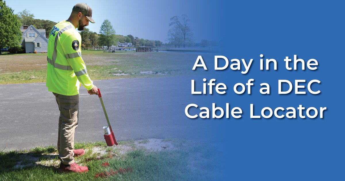Delaware Electric tweet media