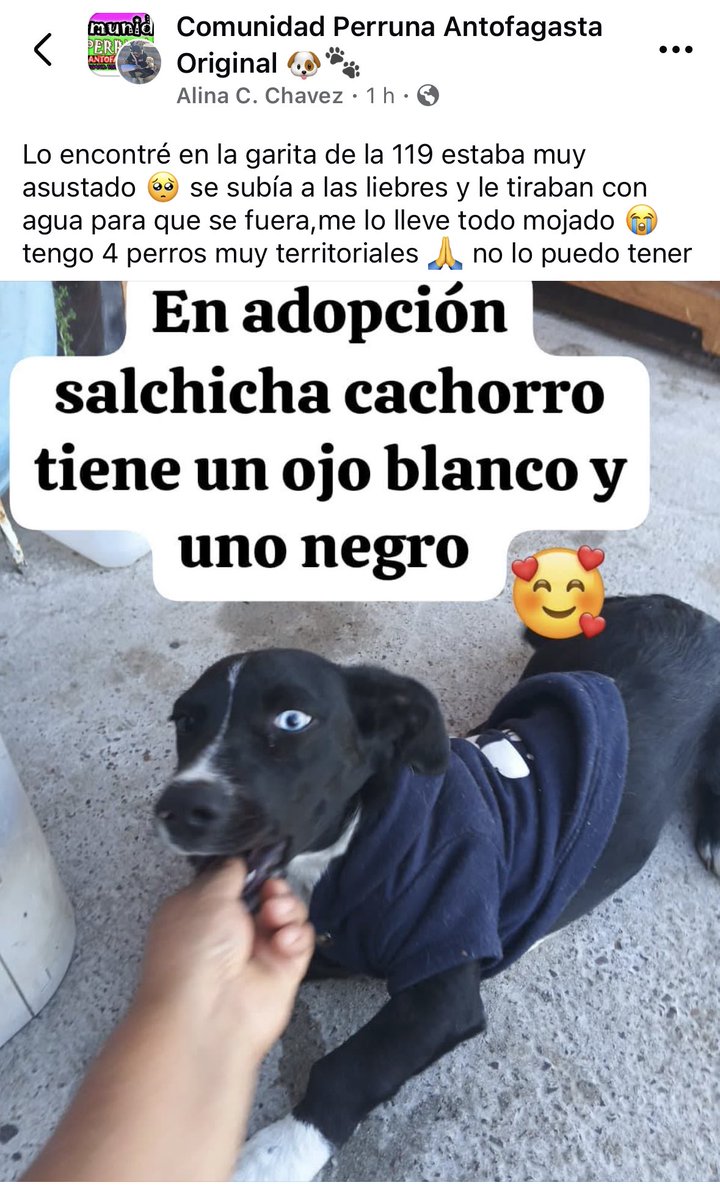 Jordi tweet media