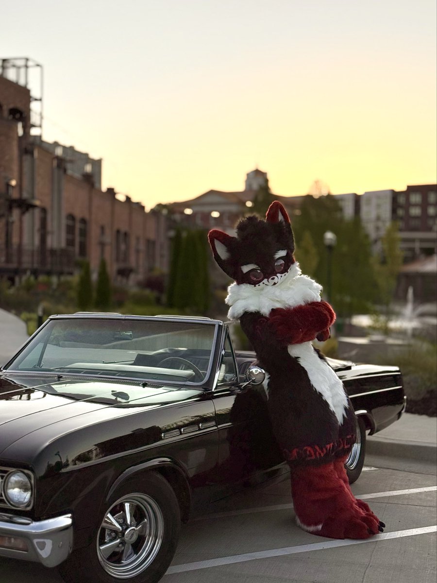 ItsRetroFox tweet picture