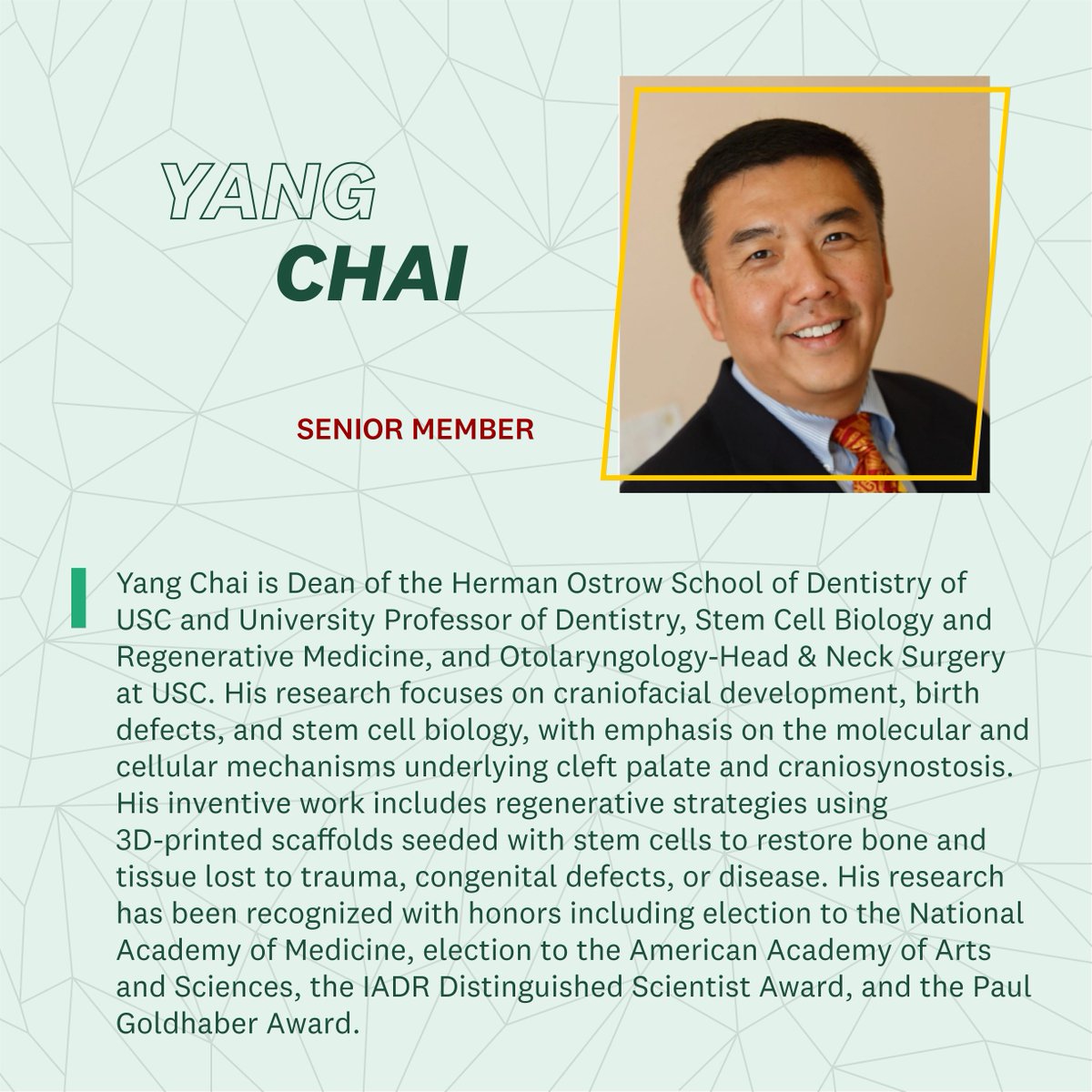 USCStevens's tweet photo. We're proud to work with #USCinventors! Dr. Yang Chai's research is on #craniofacial development, birth defects, and #stemcell biology, with emphasis on the molecular and cellular mechanisms underlying #cleftpalate and #craniosynostosis. 

You can’t spell #reSearCh without SC! ✌️ https://t.co/Ew5cMXoTkm