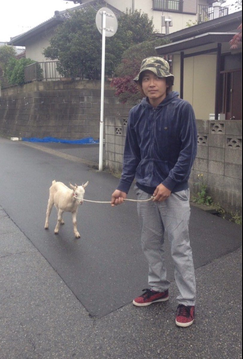 佐藤モカ　Mocha Satoh tweet media