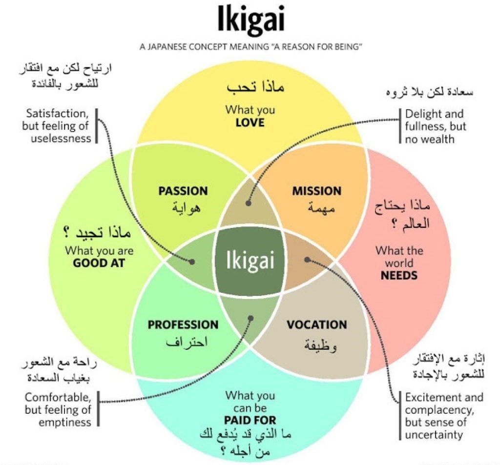 كازوكُو|和子. tweet media