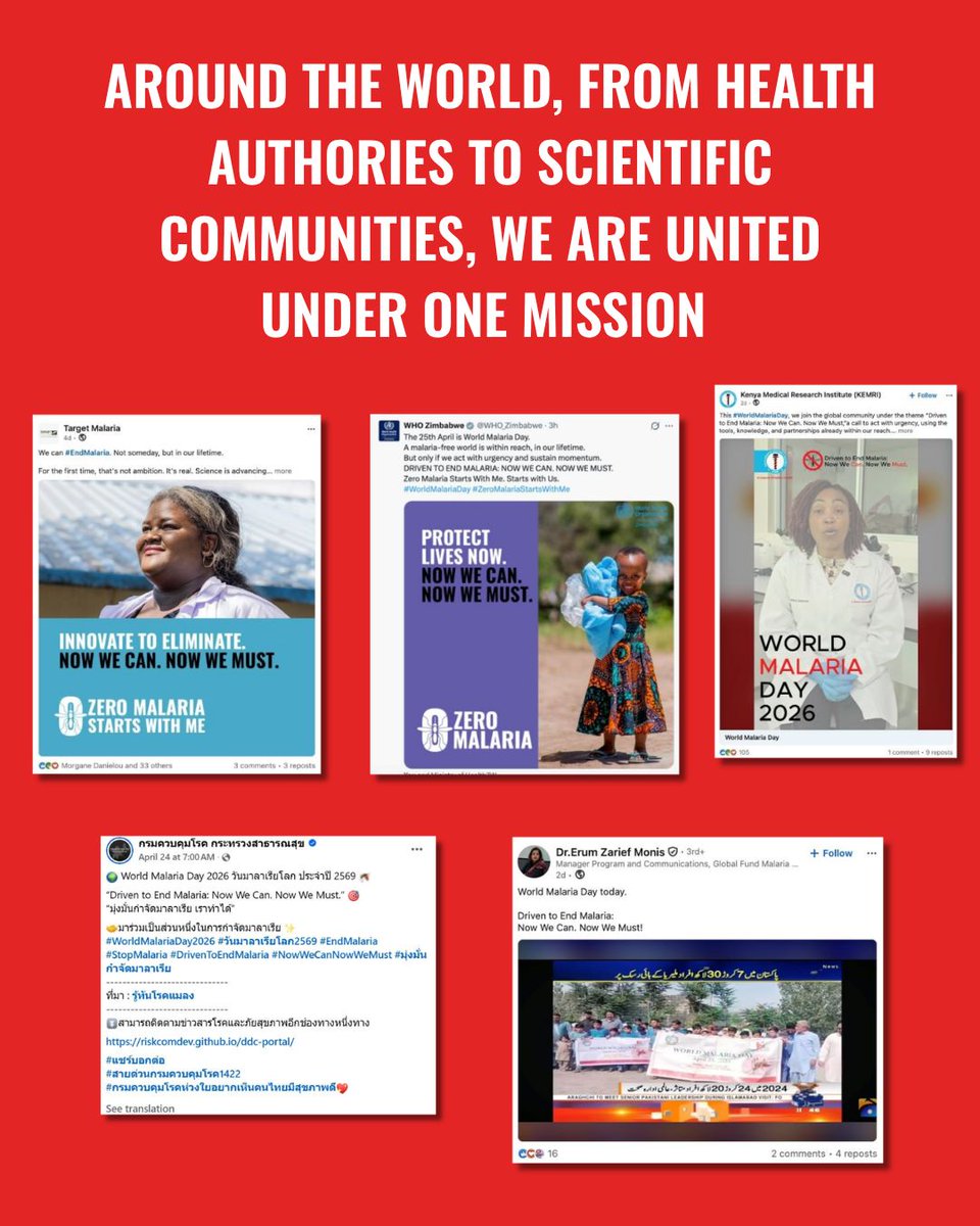 Zero Malaria tweet media