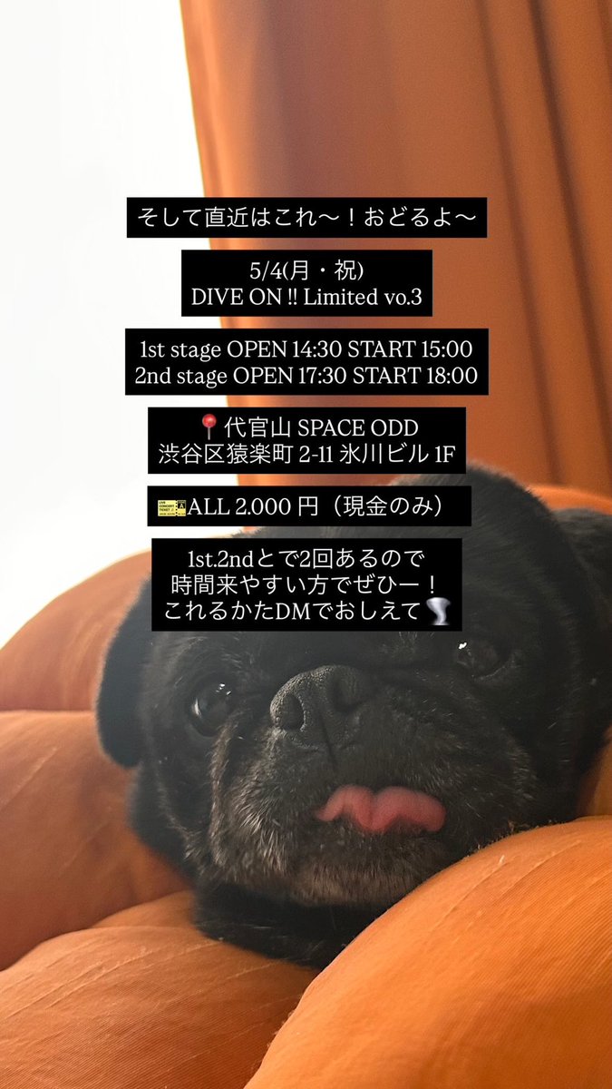 奏 tweet media