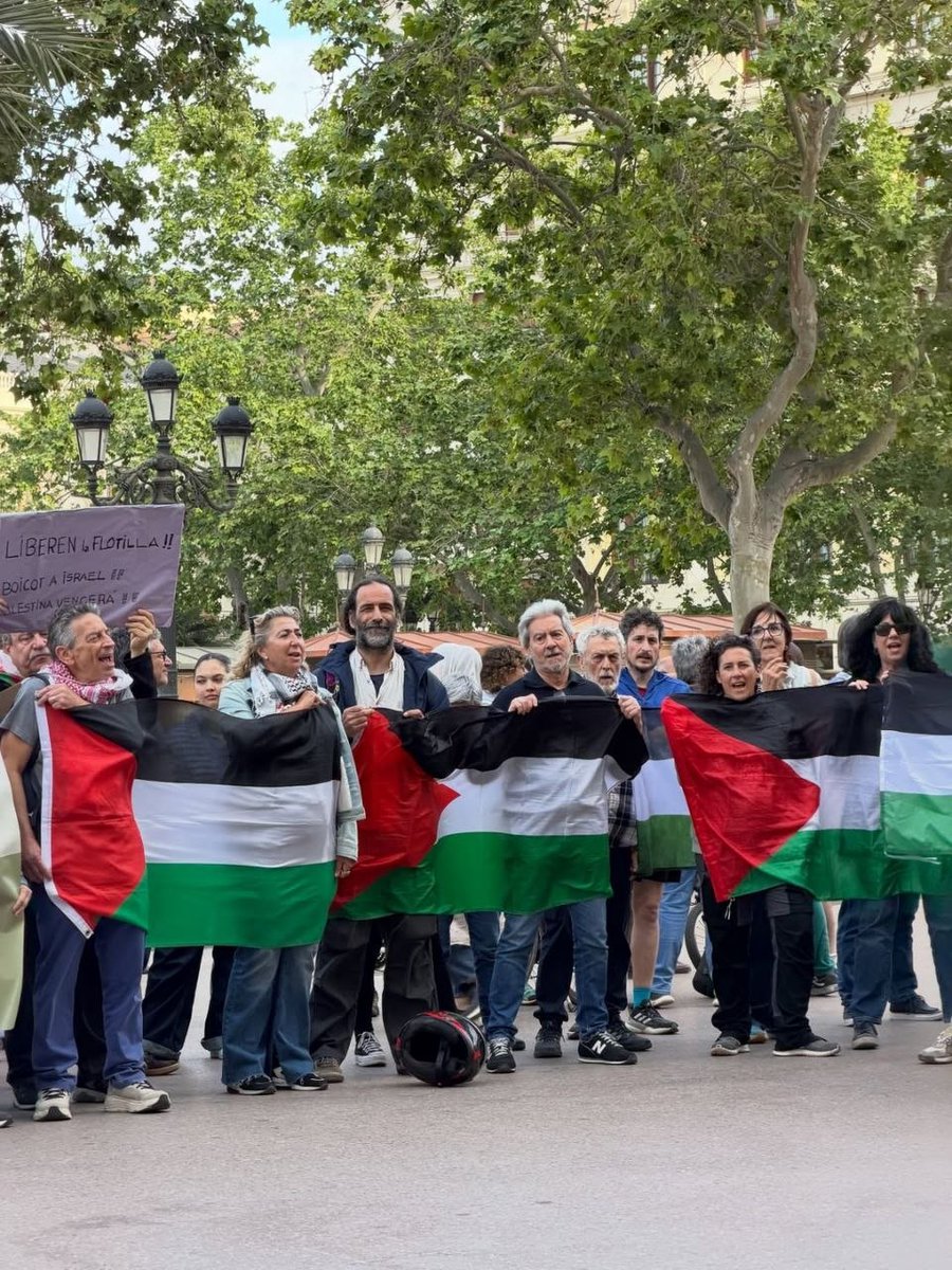 IranNewsJa's tweet image. 📸スペイン・マドリードで抗議者たちがパレスチナへの連帯を示して集会を行い、ギリシャ近海のガザから600マイル以上離れた公海上での「グローバル・スムード船団」へのイスラエルの攻撃と活動家の拘束を非難した。

#スペイン #Spain #Gaza #パレスチナ #ガザ