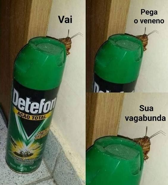 Estou rindo disso mais do que deveria