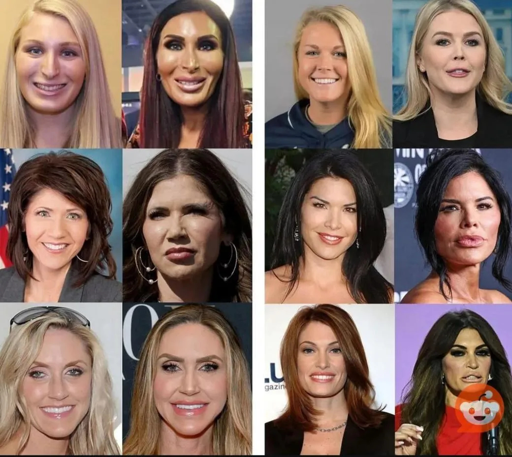 wiseoldsnail tweet media