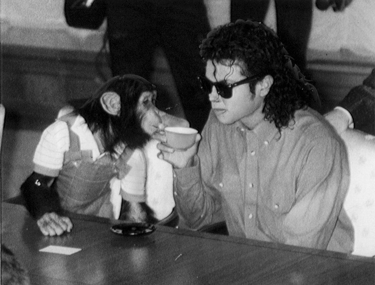 Bubbles - Bubbles The Chimp tweet media