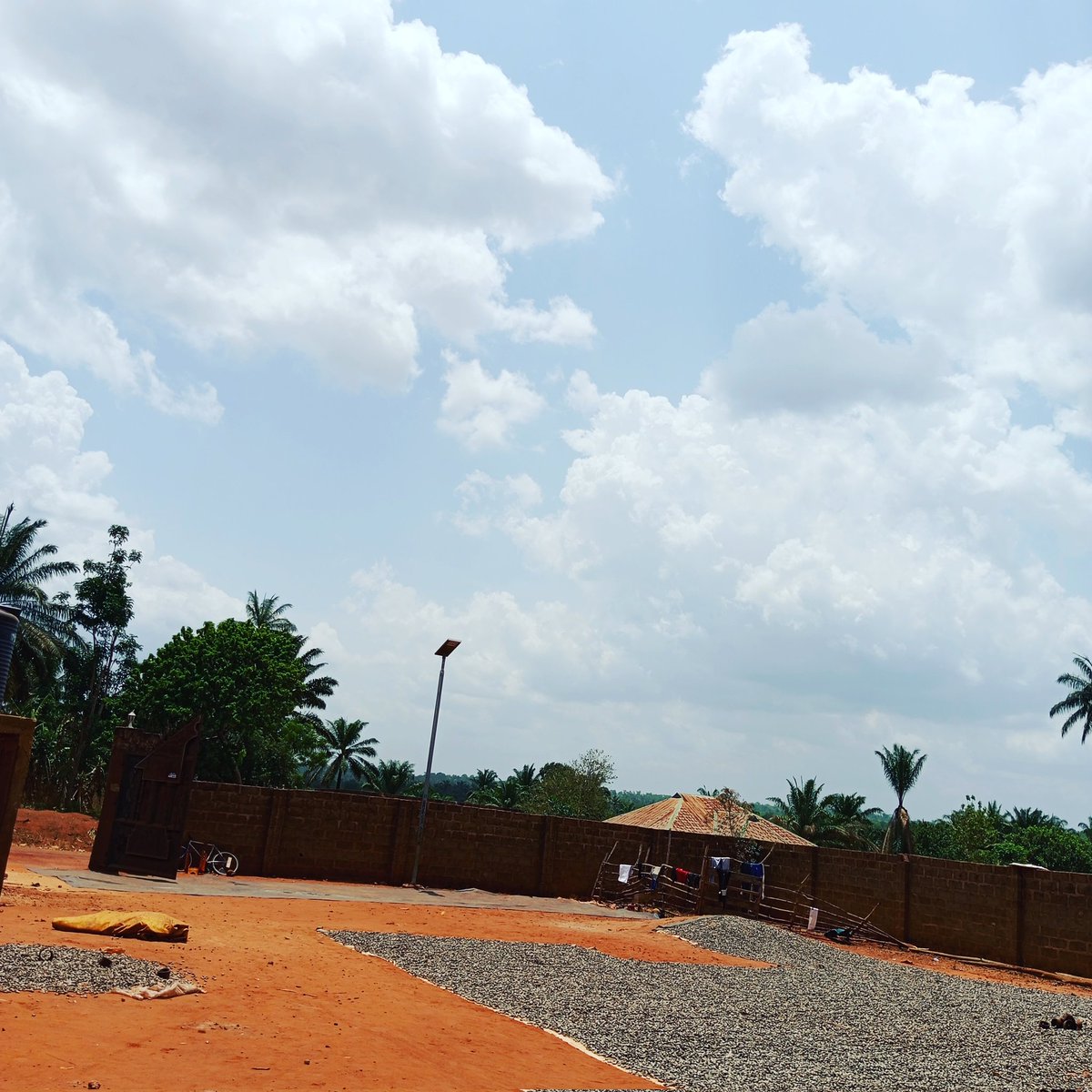 alnass_kid's tweet image. No capital, but I have a plan.

#agriculture #niger