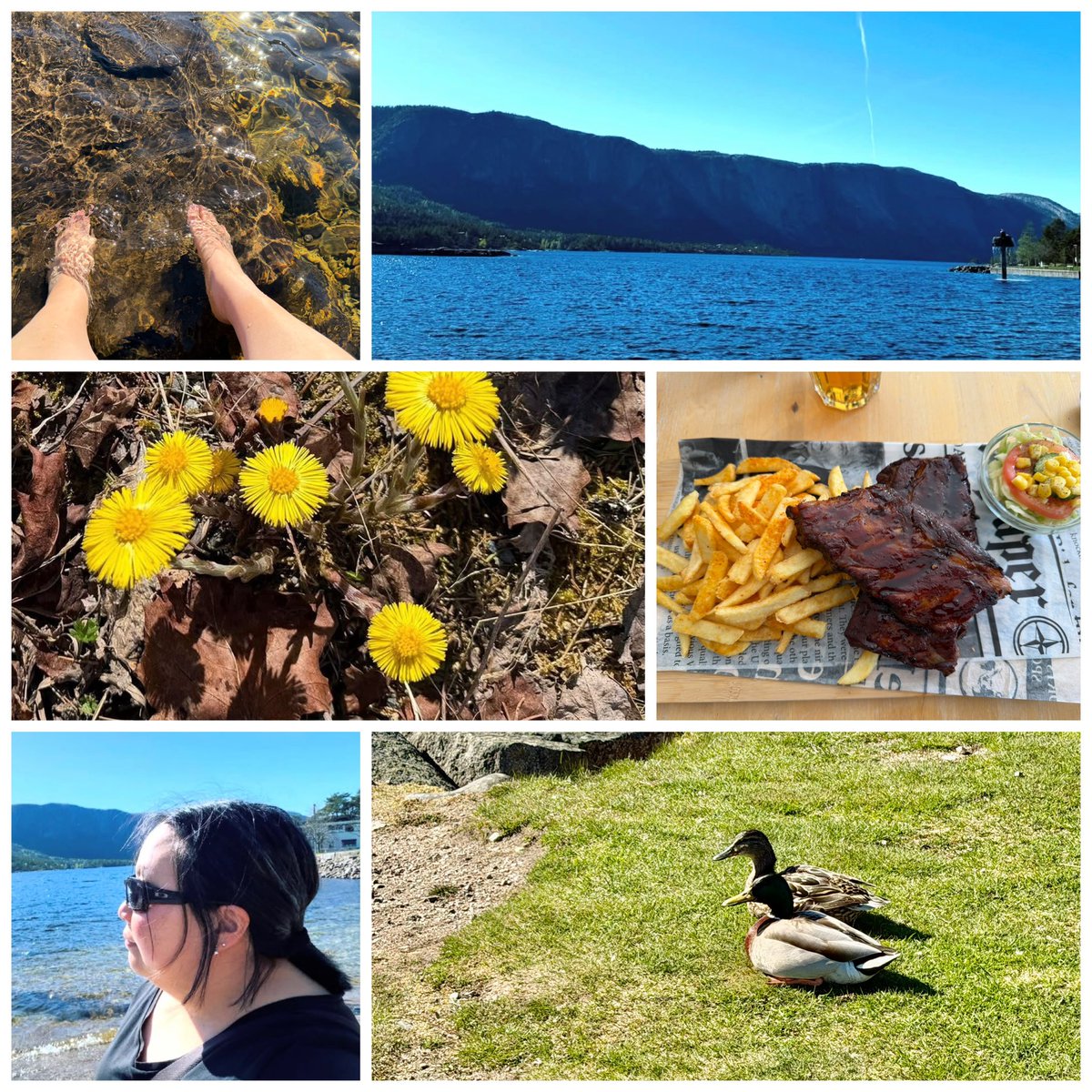 Myridana's tweet image. Taste of summer in May. Beautiful and sunny weather today. Also had a delicious dinner consisting of spare ribs, fries and salad - #sun #lake #flower #animal #outdoor