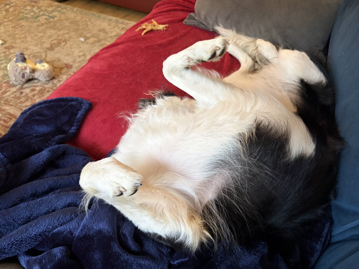 Puppy Bess and Auntie Kes tweet media