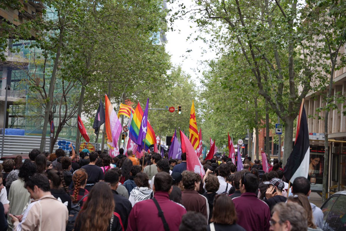 CUP Països Catalans tweet media