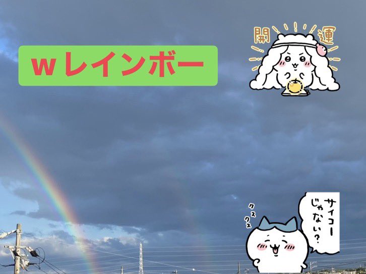 芯(旧 桜) tweet media