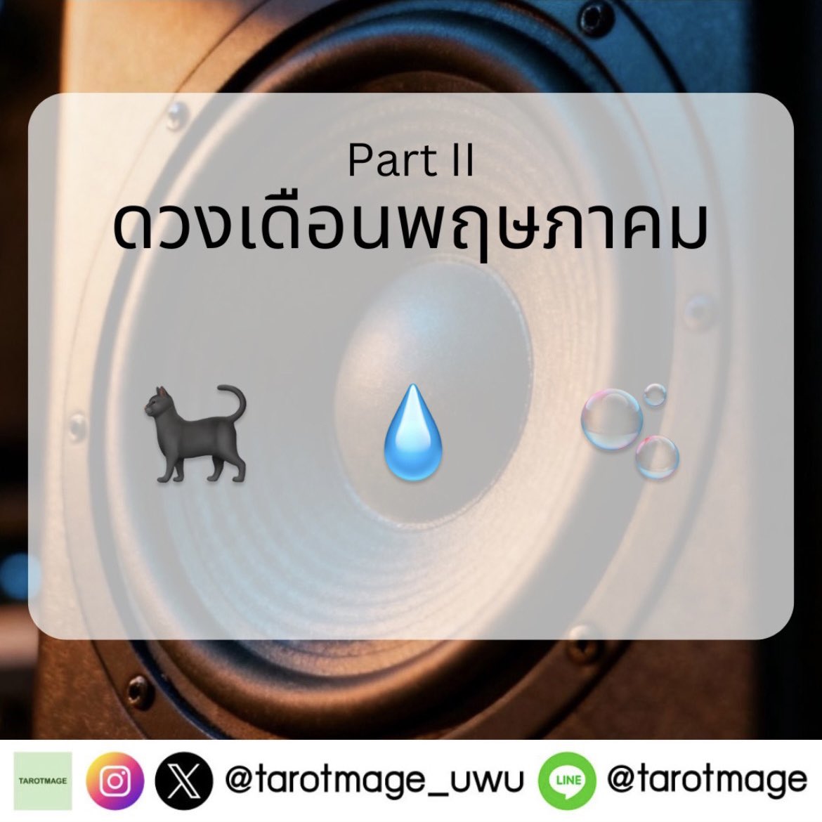 tarotmage🍀 tweet media