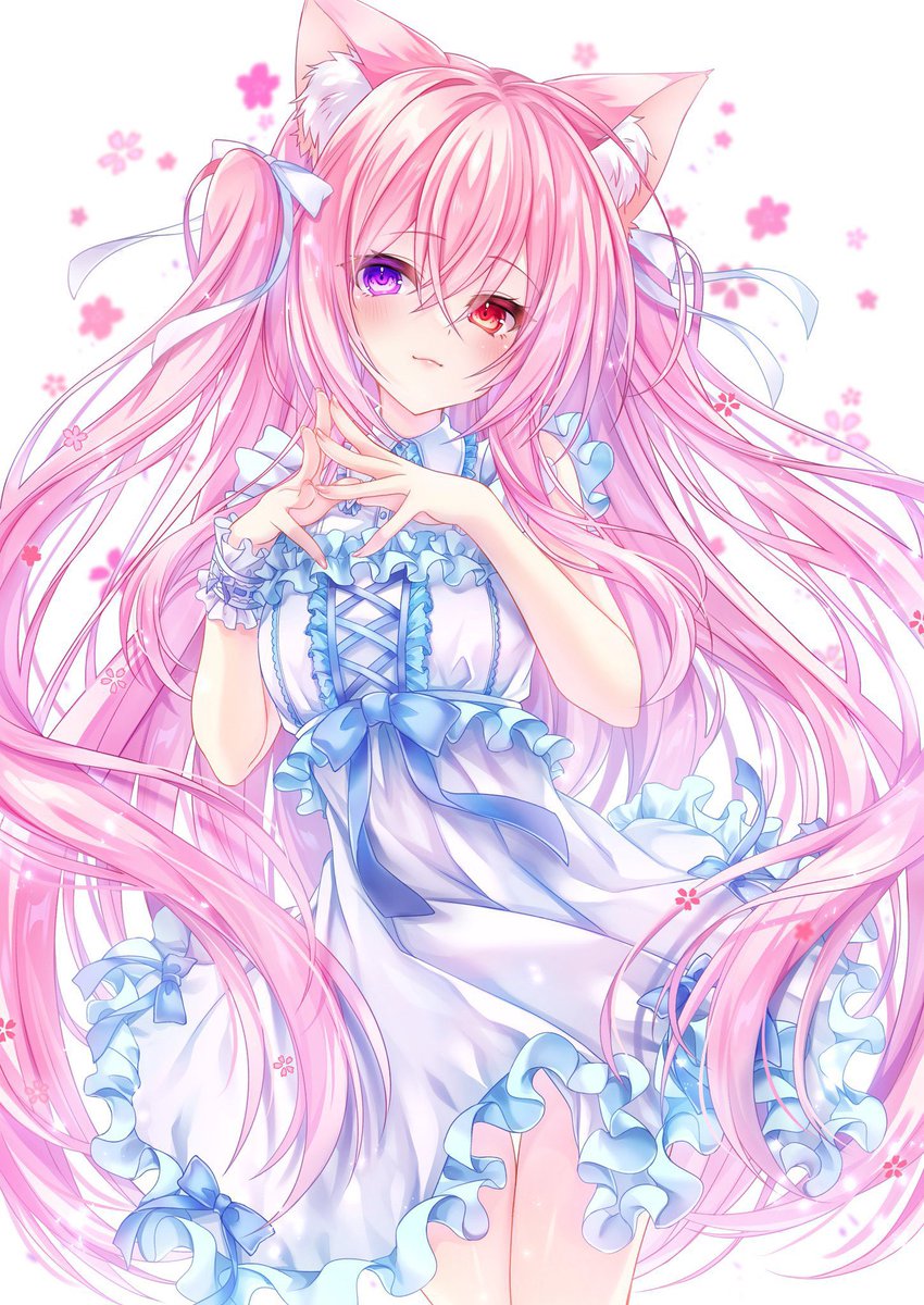 桜月ひな tweet media