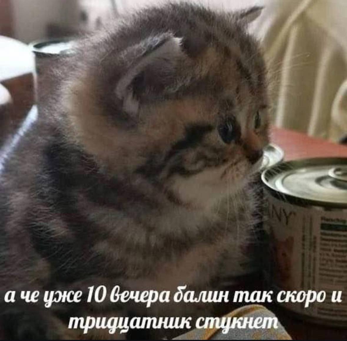 Ōками 🜃 tweet media