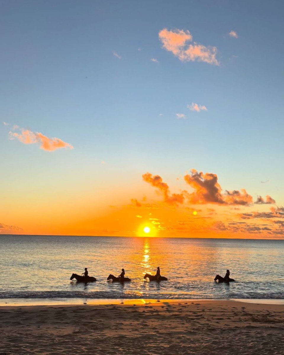 Visit USVI – U.S. Virgin Islands Dept. of Tourism tweet media