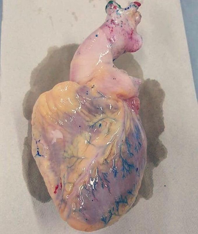MEDICINE MADNESS tweet media