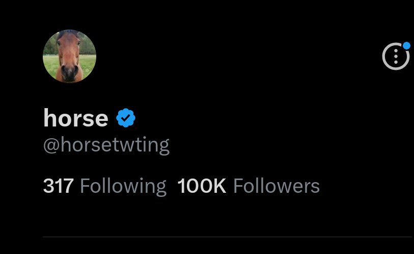horse tweet media