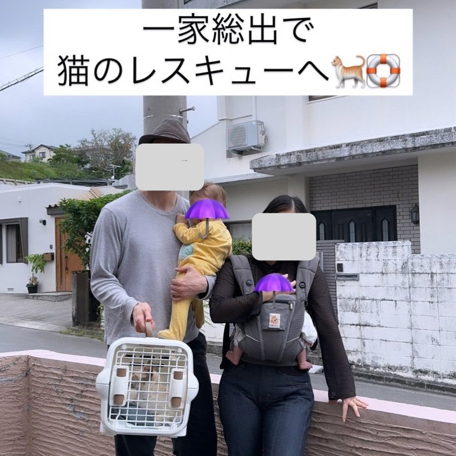 Mikitora🆕 tweet media