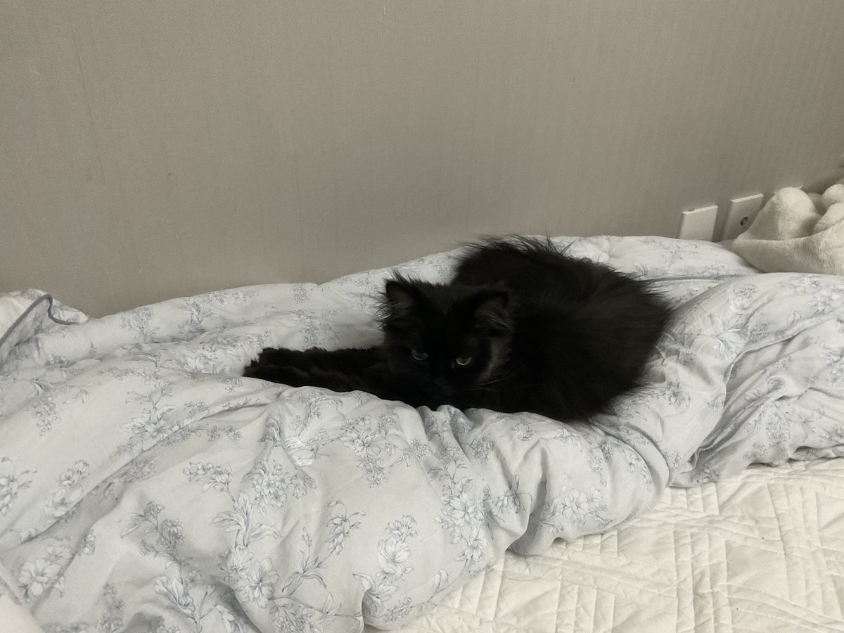 복슬복슬