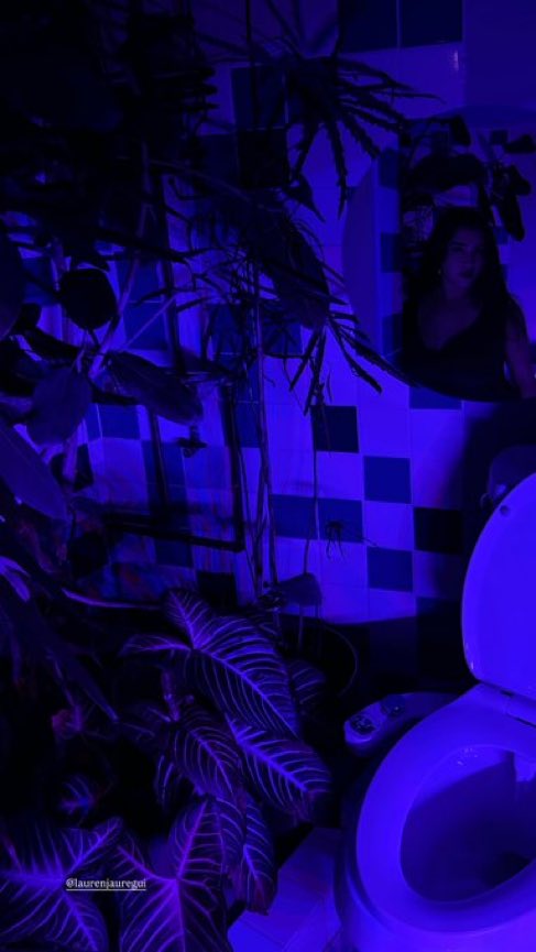 Julia Laura 🛸 tweet media