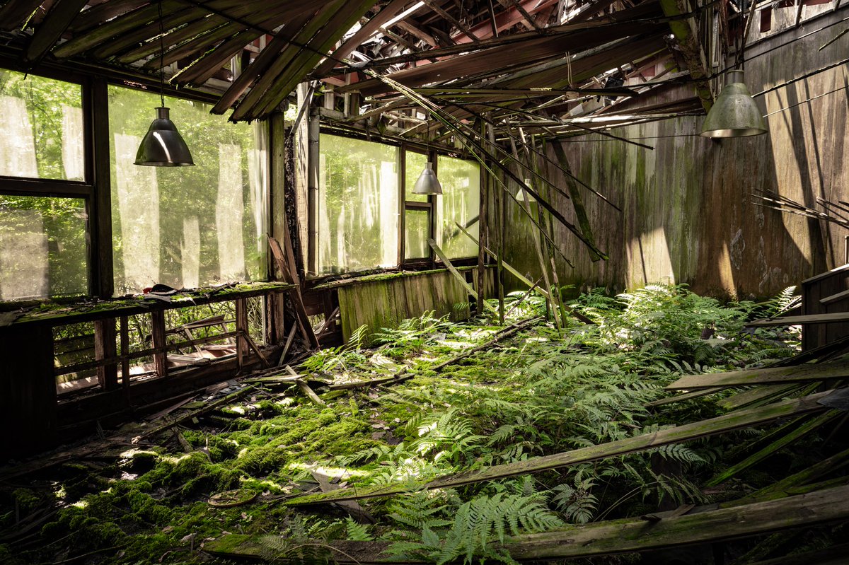 _urbex_record's tweet photo. 廃墟 https://t.co/If0OoU3UiL