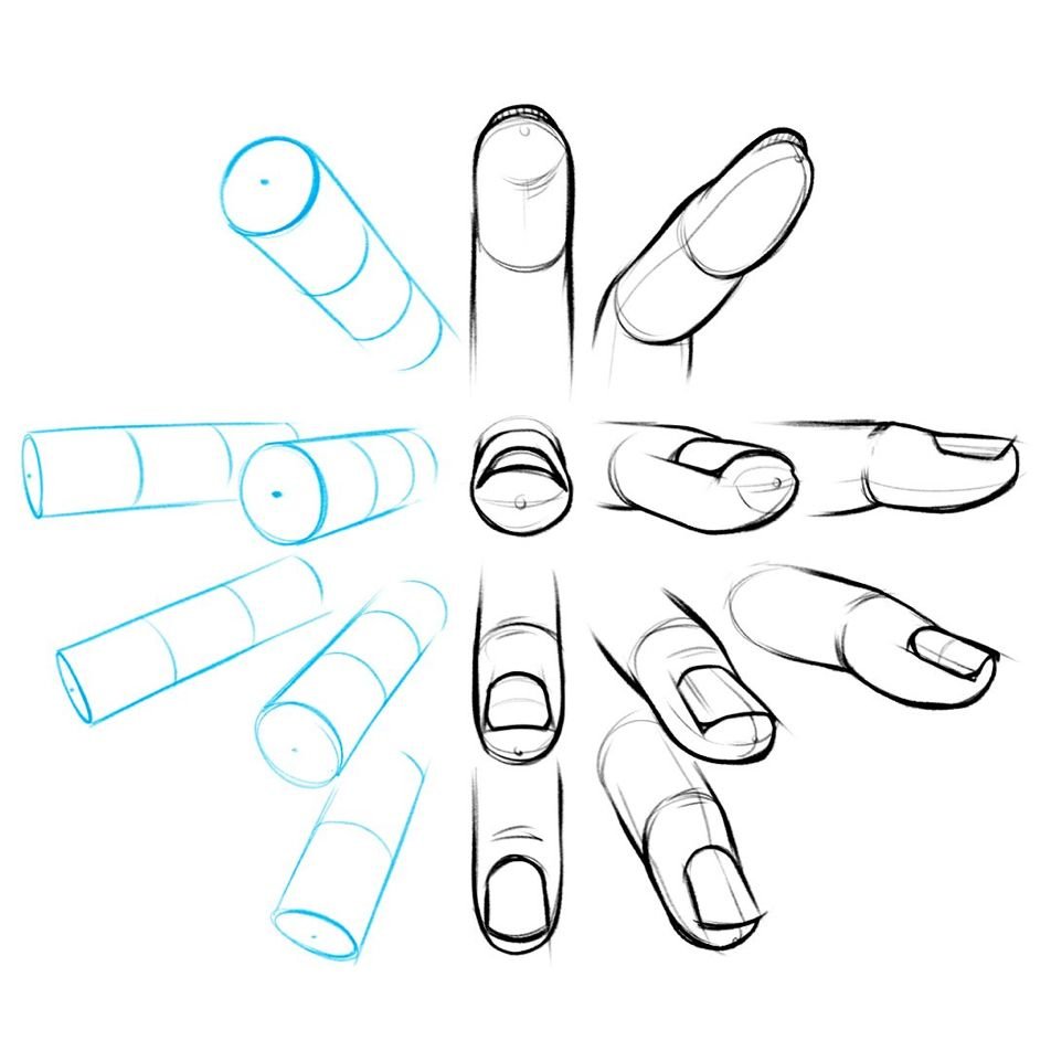 donutyfriend's tweet photo. how to draw different shape of fingers! https://t.co/yEwtwXu7LS