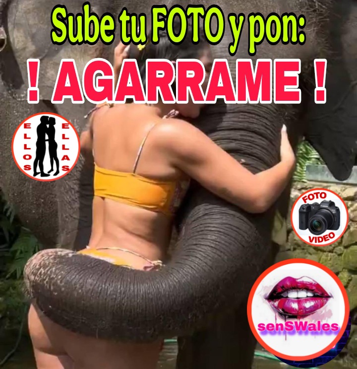 senSWales tweet media