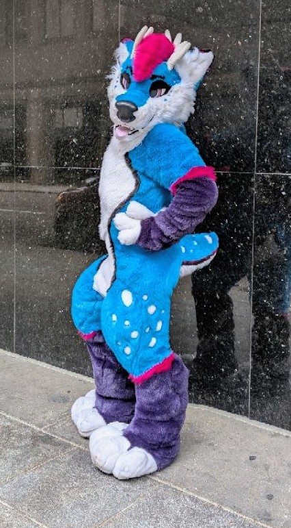 RalphDaDox's tweet photo. How to find me at fwa! Come say hey! It'll be a busy con but don't be afraid to come say hey <3 I never mind :p I'll tell you if I'm in a rush or need to go 

Do: 
Ask for hugs
Ask for photos 
Enjoy your con :3

Don't: 
Touch me without consent 
Be rude https://t.co/Z9NraRTKbg
