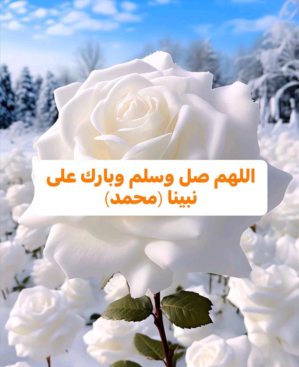 M__Hdd's tweet photo. ..
أللهـم آنك عفوا كريم تحب العفو فعفُ عنا ياكريم 

#ساعة_استجابة https://t.co/Qn7yBNtDBn