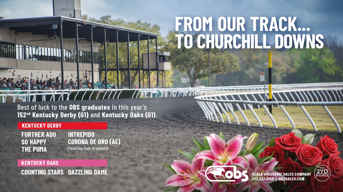 OBSSales's tweet photo. Wishing the best of luck to our #OBSGrads in the #KYOaks and #KYDerby!
🌹Further Ado @spendthriftfarm 
🌹So Happy @SoSRacingStable 
🌹The Puma @MarqueeAgency @GustavoJDelgado 
🌹Intrepido
🌹Corona de Oro (AE)
🌸Counting Stars @markecasse 
🌸Dazzling Dame @MedallionRacing https://t.co/Rc4UsSbejK