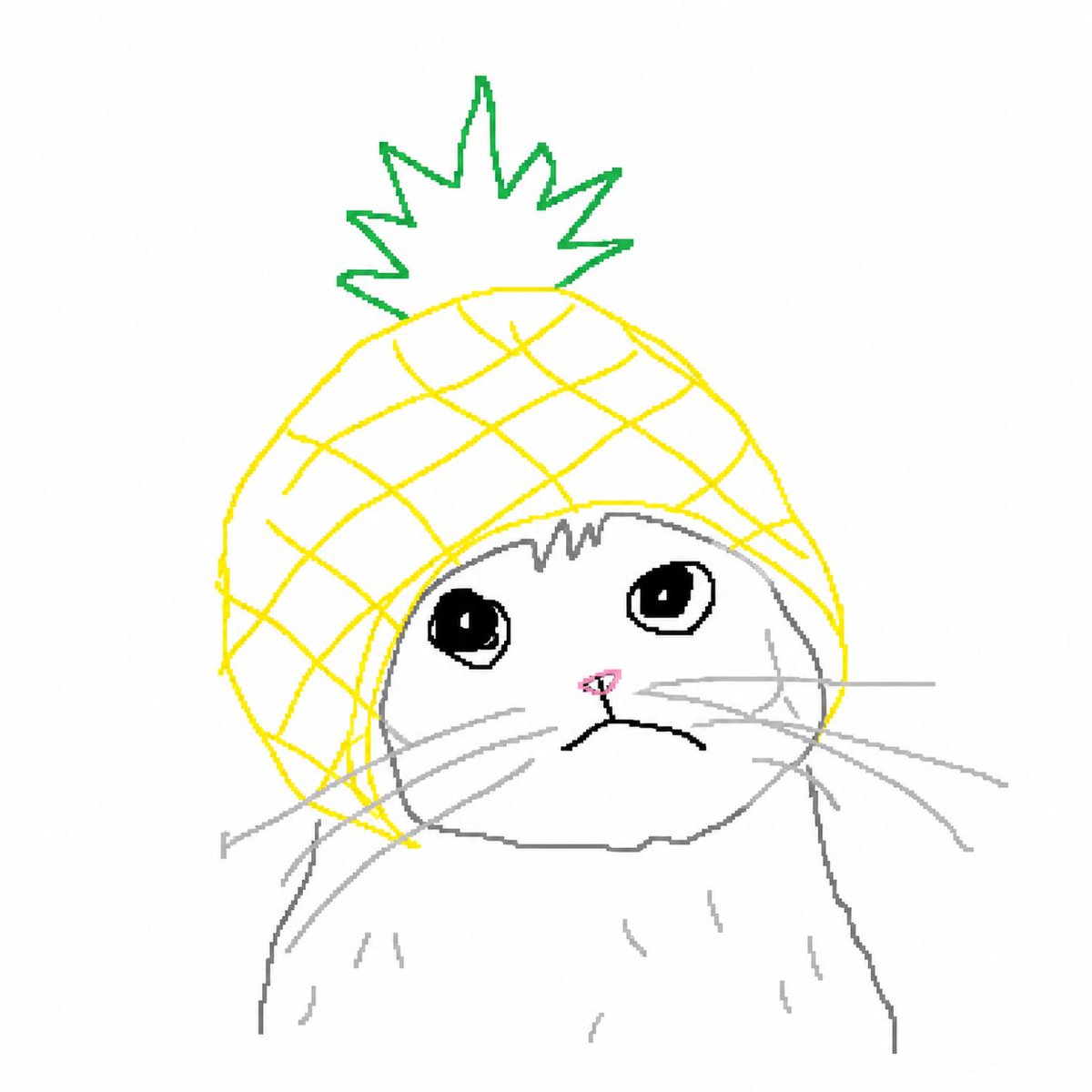 菠萝头🍍 tweet media