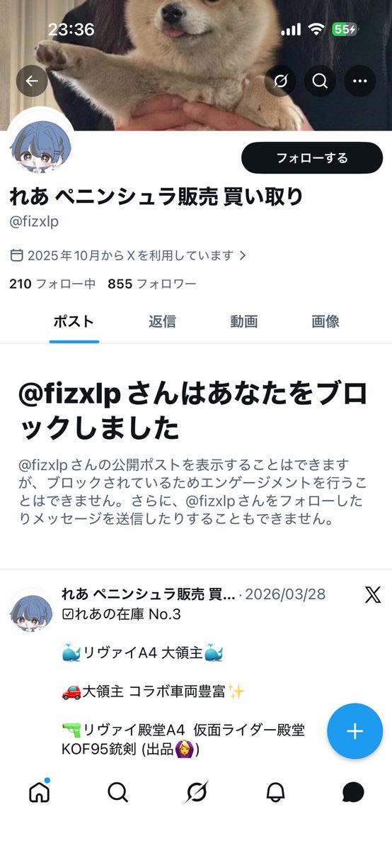 うみぺに tweet media