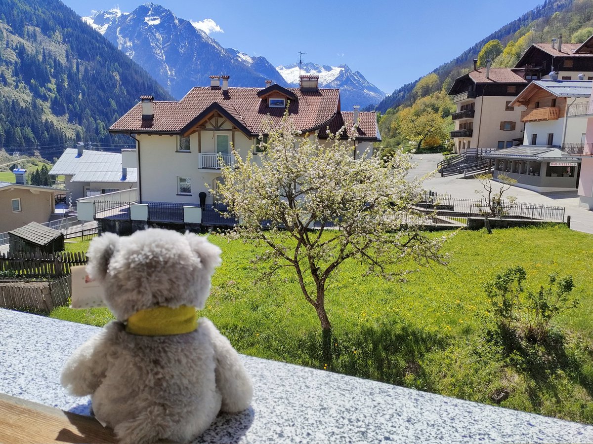 IvaCallegari's tweet photo. Un piccolo osservatore speciale 🧸 si gode questo splendido paesaggio 😍!! https://t.co/dG8nFiw20J