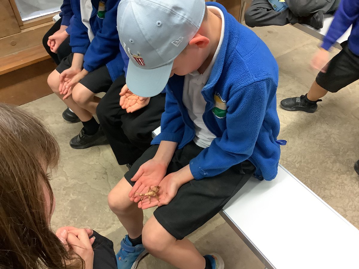 SAPSRedSquirrel's tweet photo. #science Longleat https://t.co/s6mpgOlgex