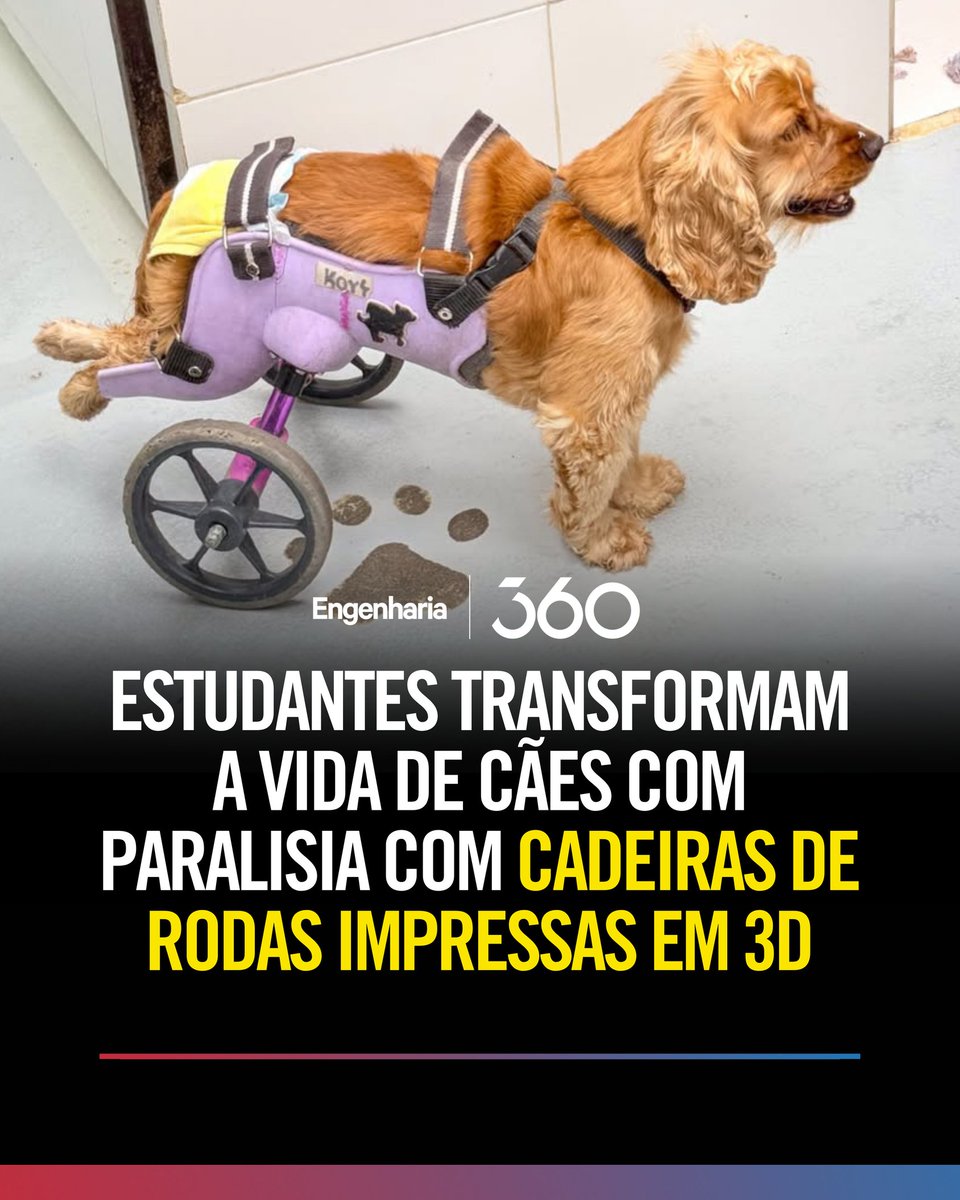 Uma iniciativa de estudantes de engenharia da Fundación Universitaria Cafam (Unicafam) em parceria com a Fundación Doggy In Home (doggyinhome) usou #tecnologia3d para devolver mobilidade a pets  e oferecem esperança a famílias que antes não tinham alternativas.
Fonte: UAI