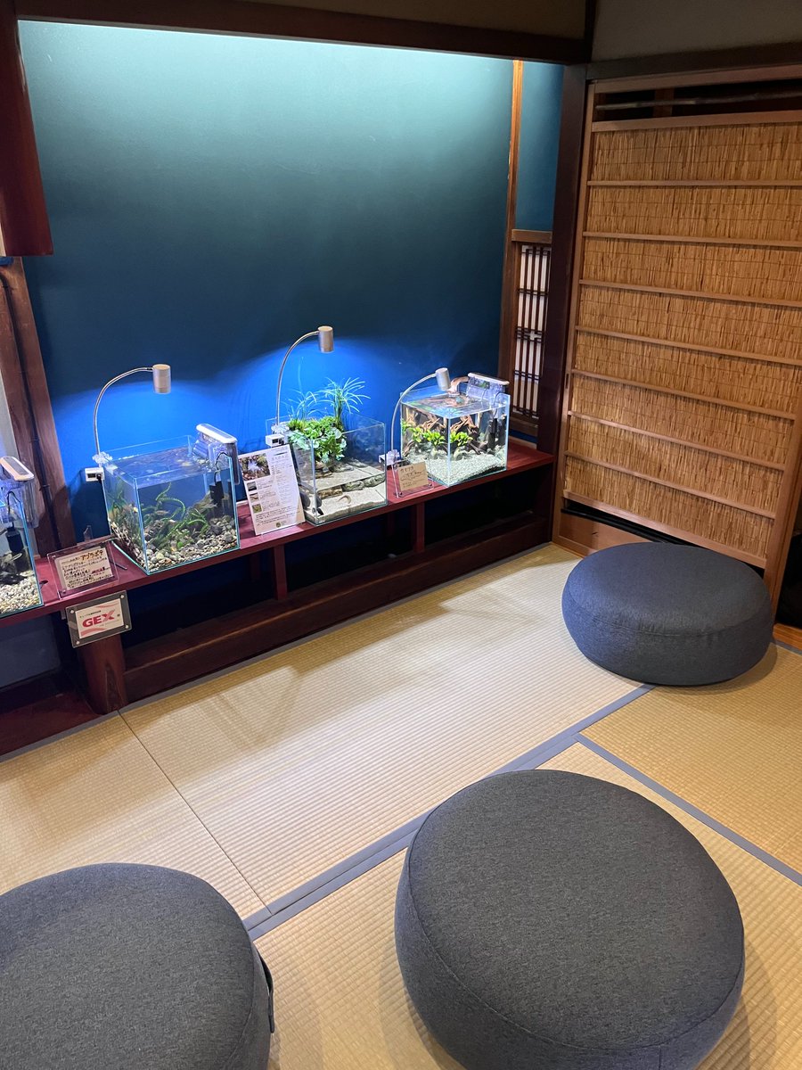 MarBiotechFPU's tweet photo. 本日オープンした「おばま水族館」🐟
研究室の学生たちが早速遊びに行ってました！

新しい観光スポットだけでなく、地元の方々や学生が気軽に集まれる場所にもなりそうです！

明日からGW！！みなさん、ぜひお立ち寄りくださいね！ https://t.co/Hs1oWkeiQJ