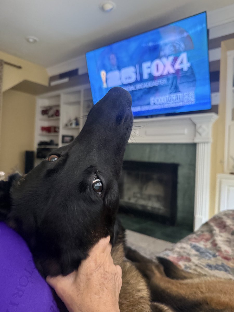 PepitaCorona's tweet photo. Coming 🆙 on Good Friday!!Well G♥️DMorning !! Even Ragnar wants 2know about news😜#Mornings @FOX4 #Fox4texas @FoxNews  @Fox4Now specially the weather ☔️=Dreary &amp; 🆒😜 #Happyfriday #dogsarethebest #mydogs #miperro X@Fox4 @FOX4 #dogsarefamily #BelgianMalinois https://t.co/wMJB6EaqrC