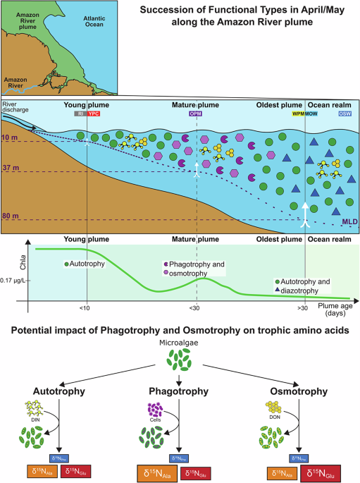 Communications Biology tweet media