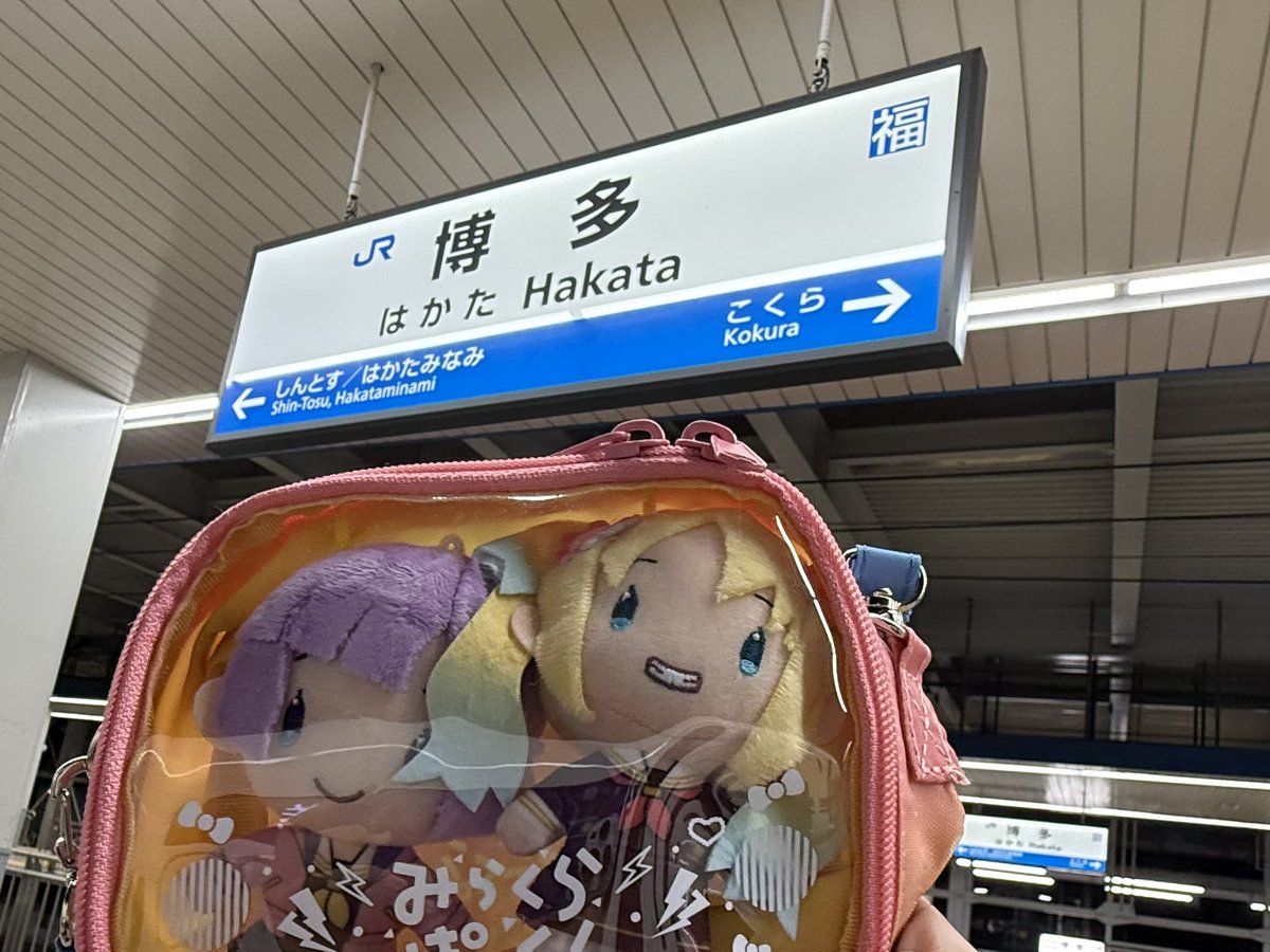こへい🪷 tweet media