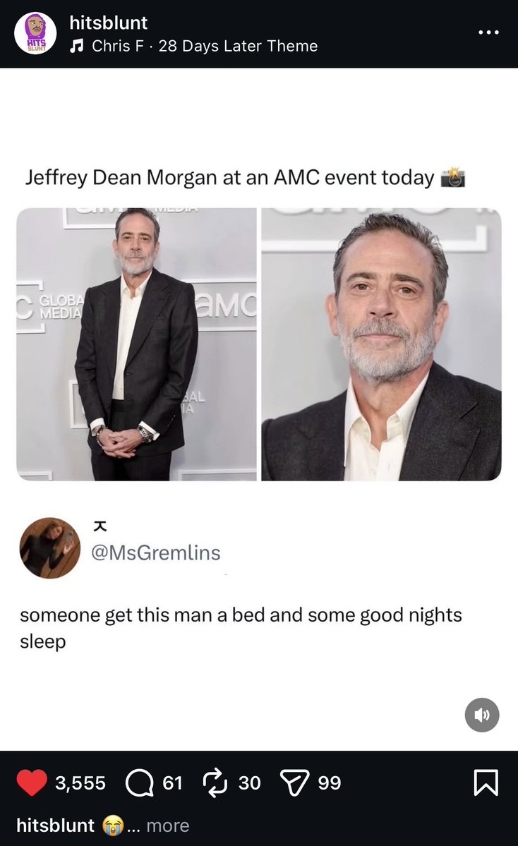 🗽 tweet media